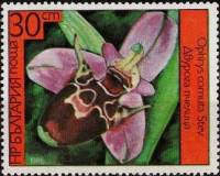(1986-006) Марка Болгария "Офрис пчелоносная"   Орхидеи I Θ